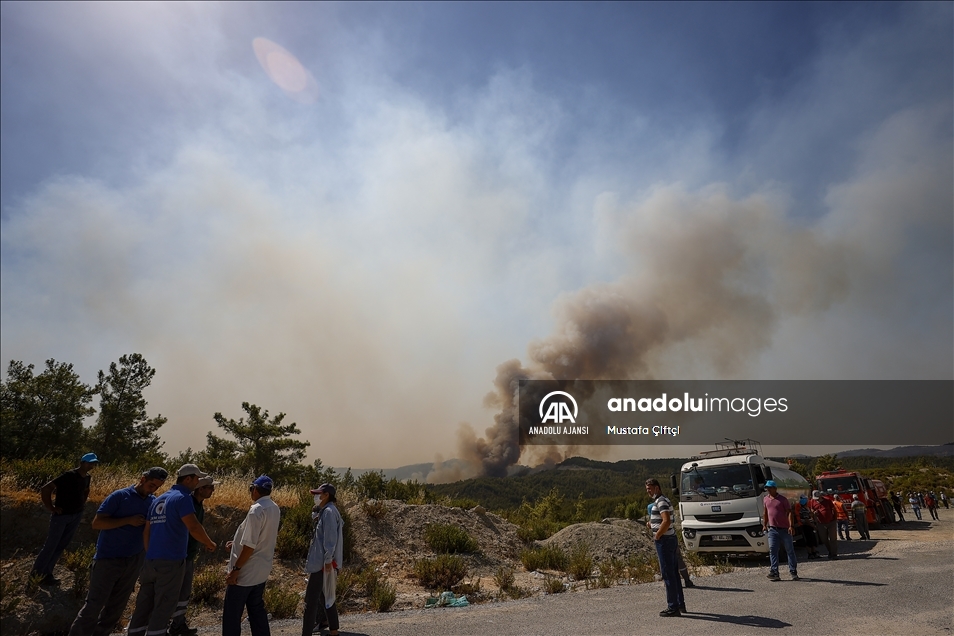 Manavgat'taki orman yangınına havadan ve karadan müdahale sürüyor