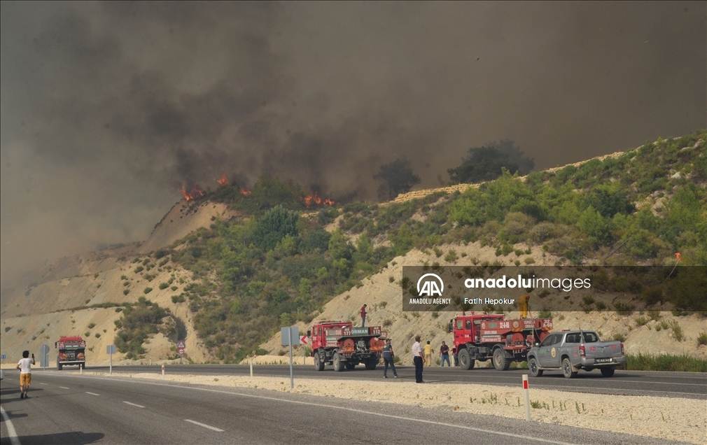 تركيا.. استمرار إطفاء حرائق الغابات برا وجوا