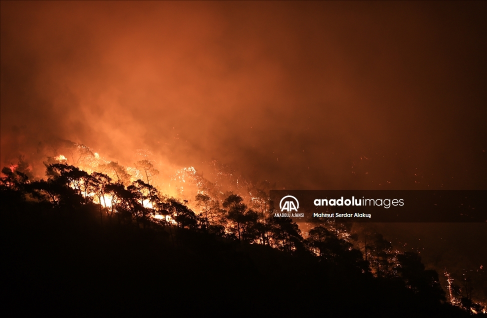 Marmaris'teki orman yangını