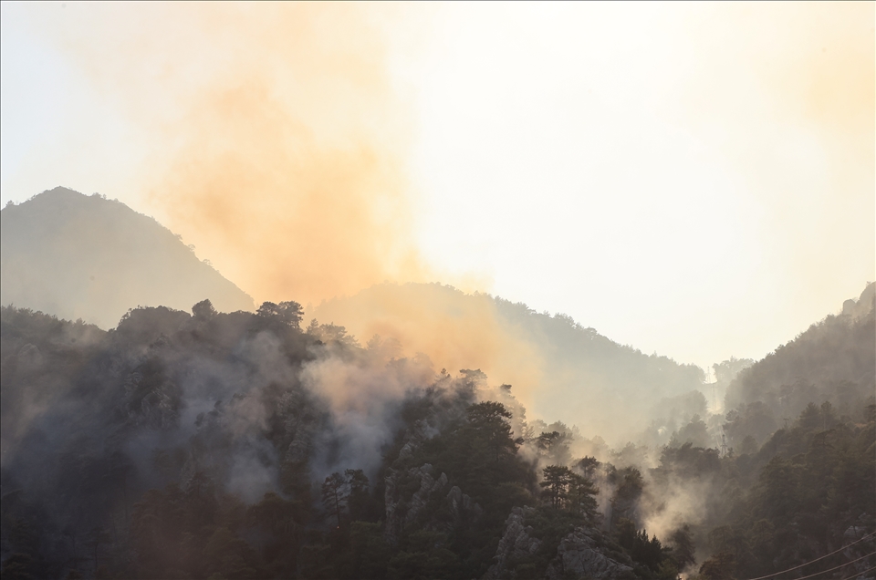 Marmaris'in Turunç Mahallesi'nin ormanlık alanına sıçrayan yangına müdahale ediliyor