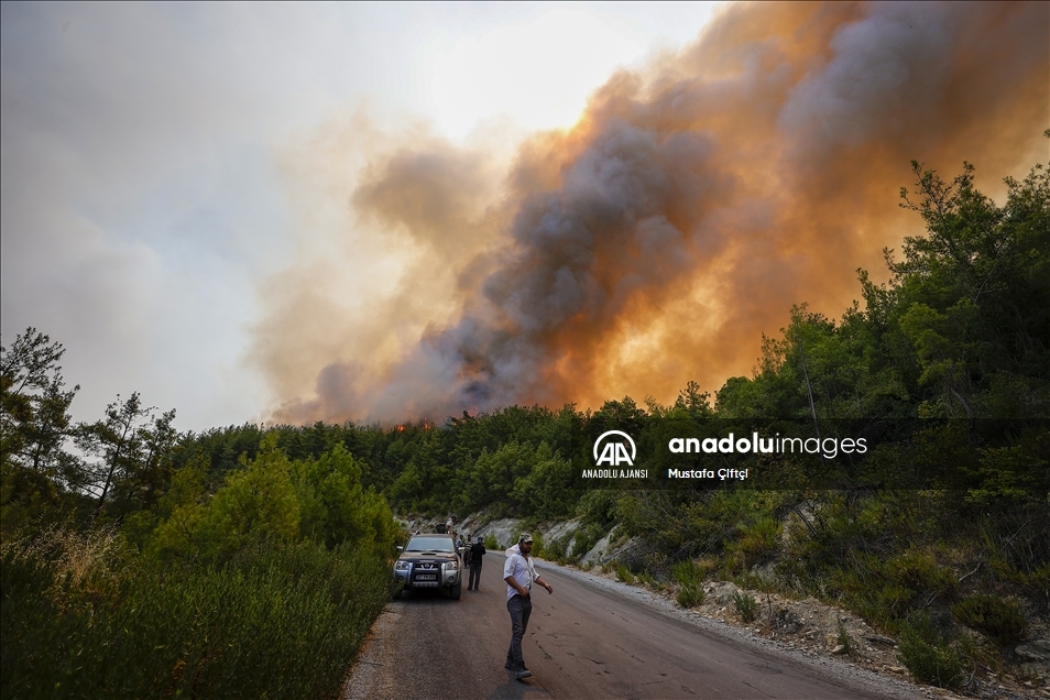 Manavgat'taki orman yangınına havadan ve karadan müdahale sürüyor