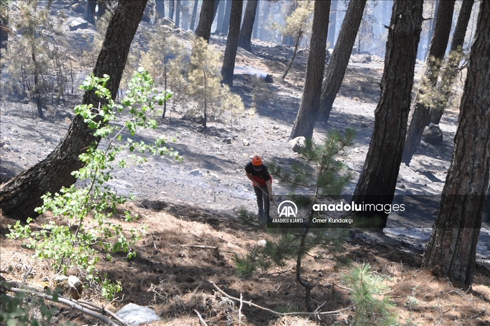Köyceğiz'deki orman yangınına müdahale ediliyor