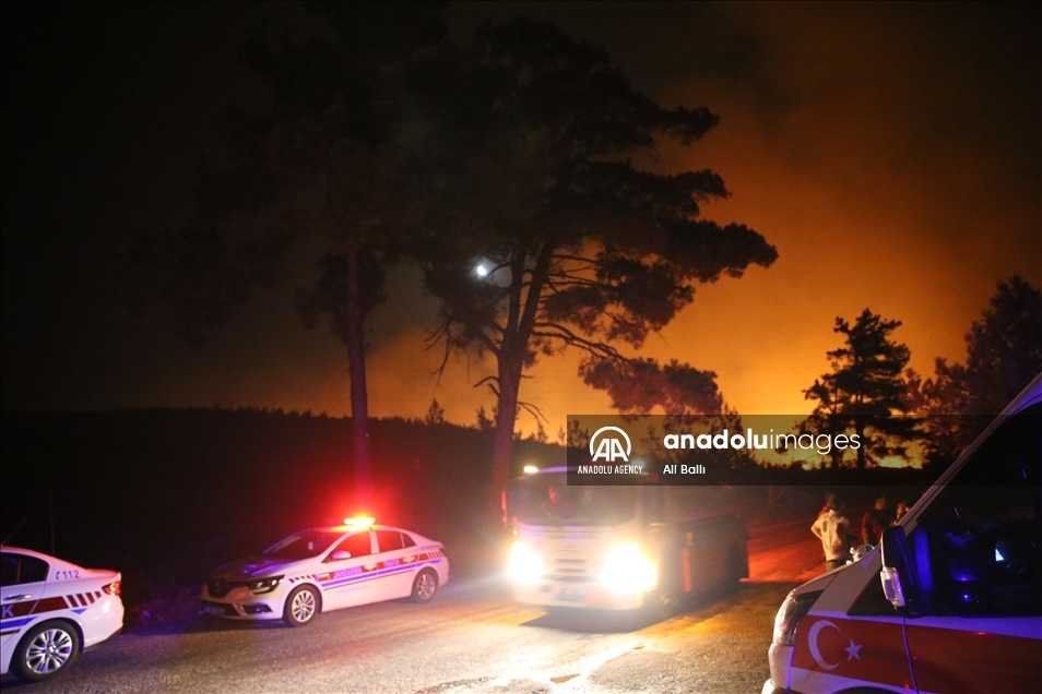 Turska: Nastavlja se gašenje požara sa kopna i iz zraka