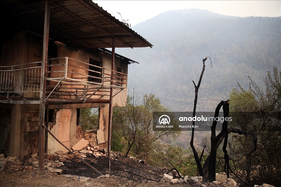 Alanya'daki orman yangınları kontrol altına alınmaya çalışılıyor