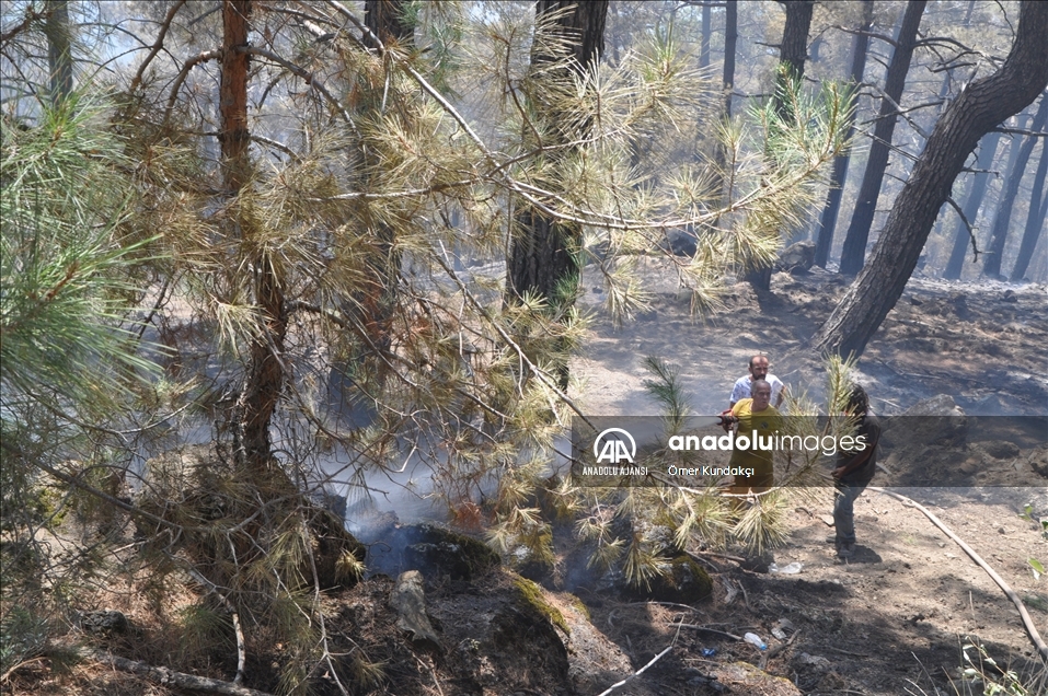 Köyceğiz'deki orman yangınına müdahale ediliyor