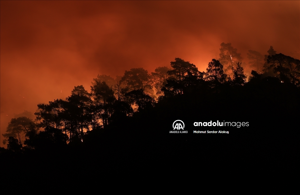 Marmaris'teki orman yangını