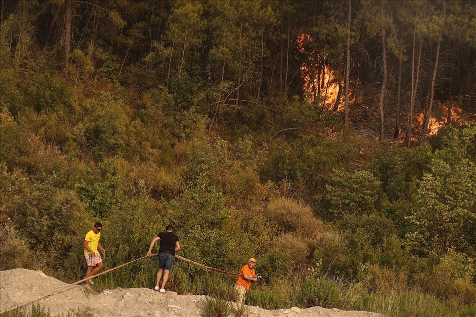 Manavgat'taki orman yangınına havadan karadan müdahale ediliyor