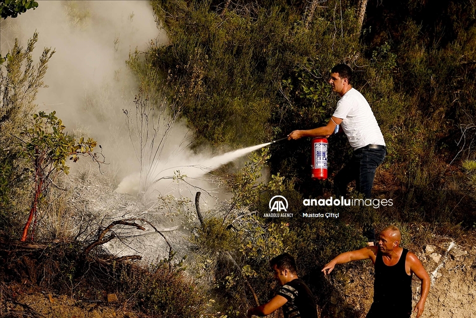 Ciudadanos se unen a la lucha para controlar los incendios forestales en Antalya, Turquía