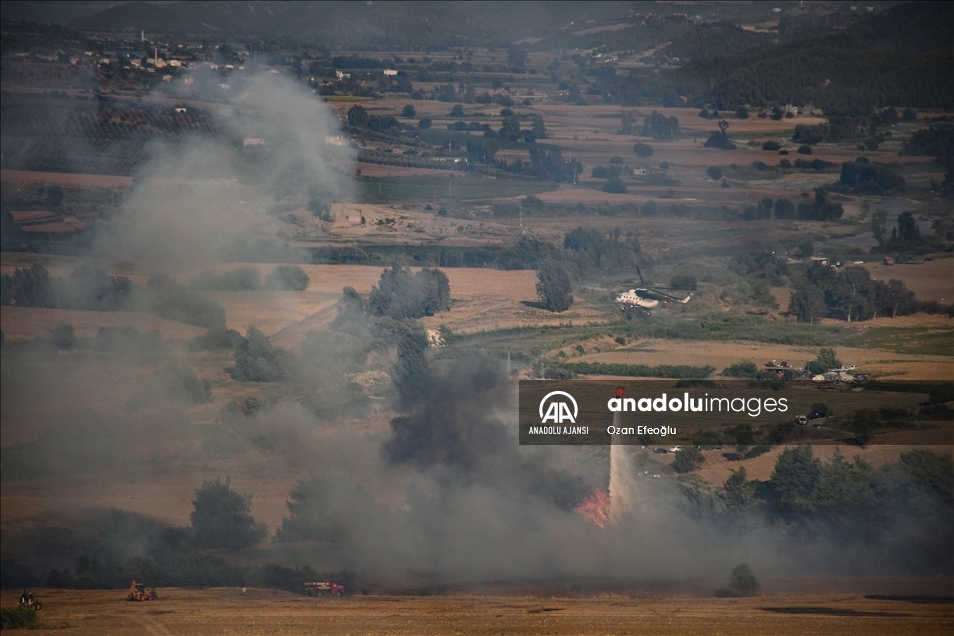 Adana'da tarlada başlayıp ormanlık alana sıçrayan yangına müdahale ediliyor