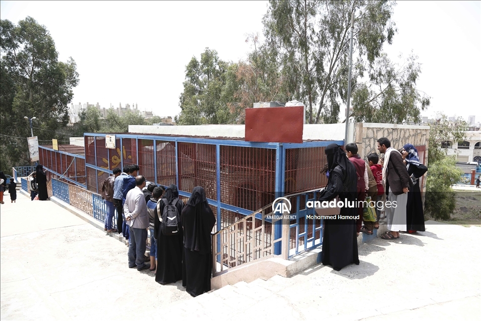 اليمن.. حديقة حيوان صنعاء تصارع من أجل البقاء