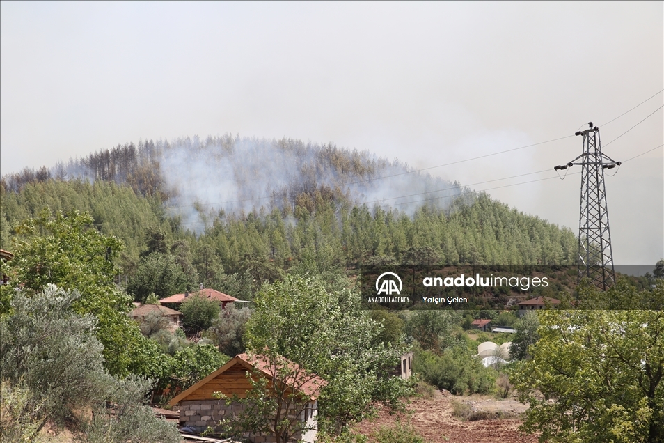 تركيا.. حريق غابات في إسبارطة