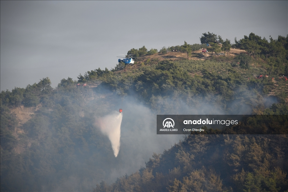 Adana'da tarlada başlayıp ormanlık alana sıçrayan yangına müdahale ediliyor