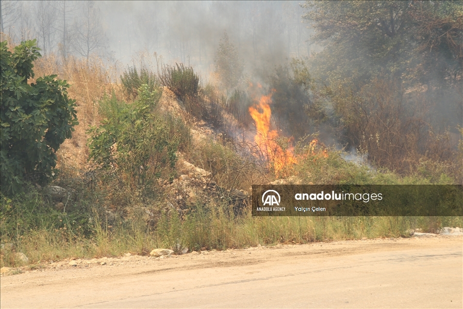 تركيا.. حريق غابات في إسبارطة