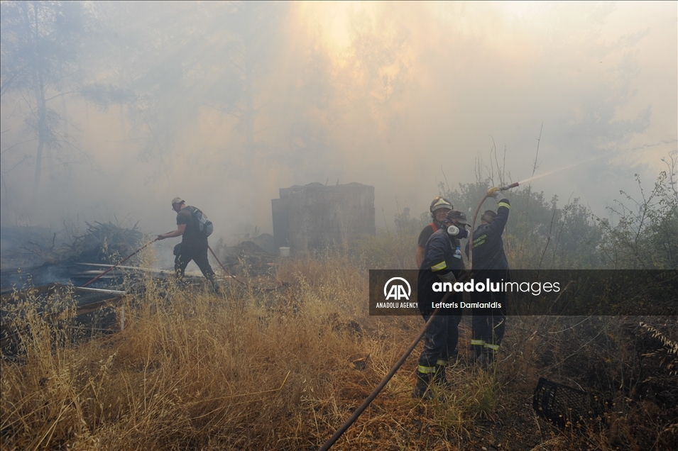 اليونان.. استمرار جهود إخماد حرائق الغابات