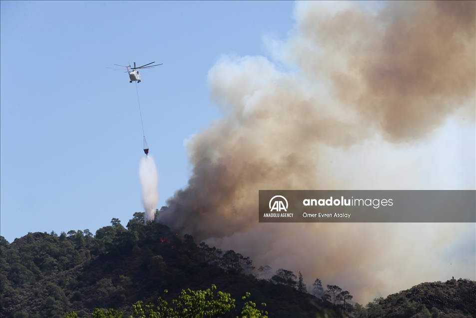 تركيا.. جهود إطفاء الحرائق في "موغلا" تتواصل