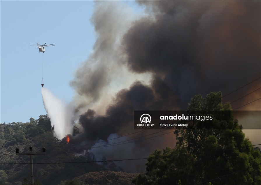 تركيا.. جهود إطفاء الحرائق في "موغلا" تتواصل