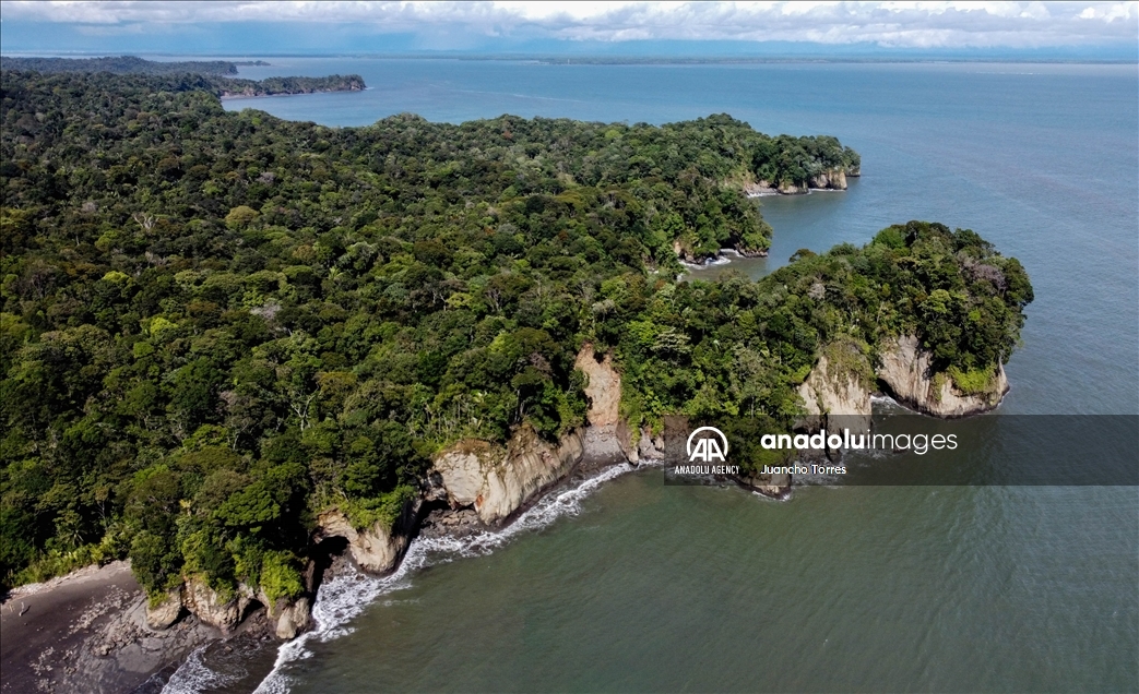 Naturaleza y avistamiento de ballenas en Buenaventura, Colombia