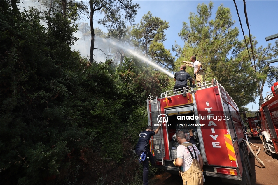 Upaya pemadaman kebakaran hutan di Mulga, Turki berlanjut