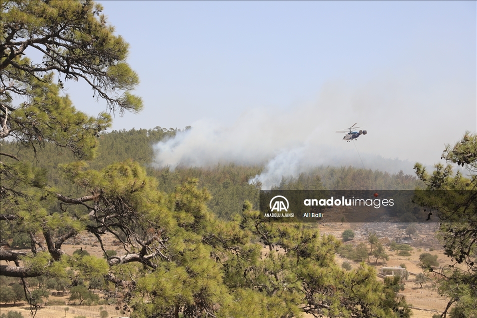 Bodrum'daki orman yangınını söndürmek için herkes seferber oldu