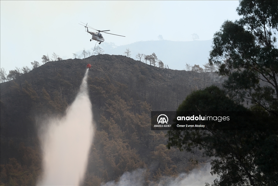 Upaya pemadaman kebakaran hutan di Mulga, Turki berlanjut