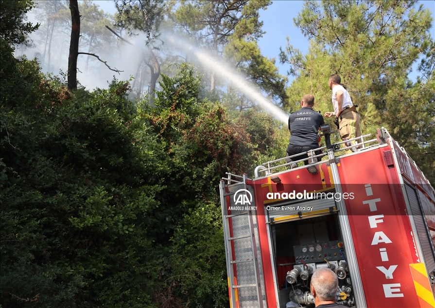 Upaya pemadaman kebakaran hutan di Mulga, Turki berlanjut