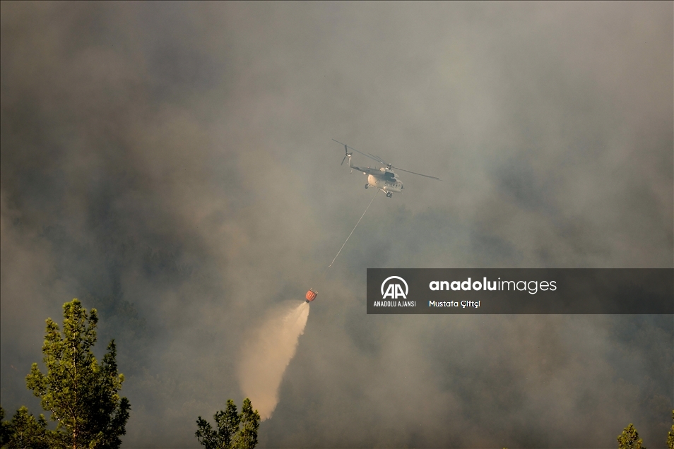 Manavgat'taki orman yangınları