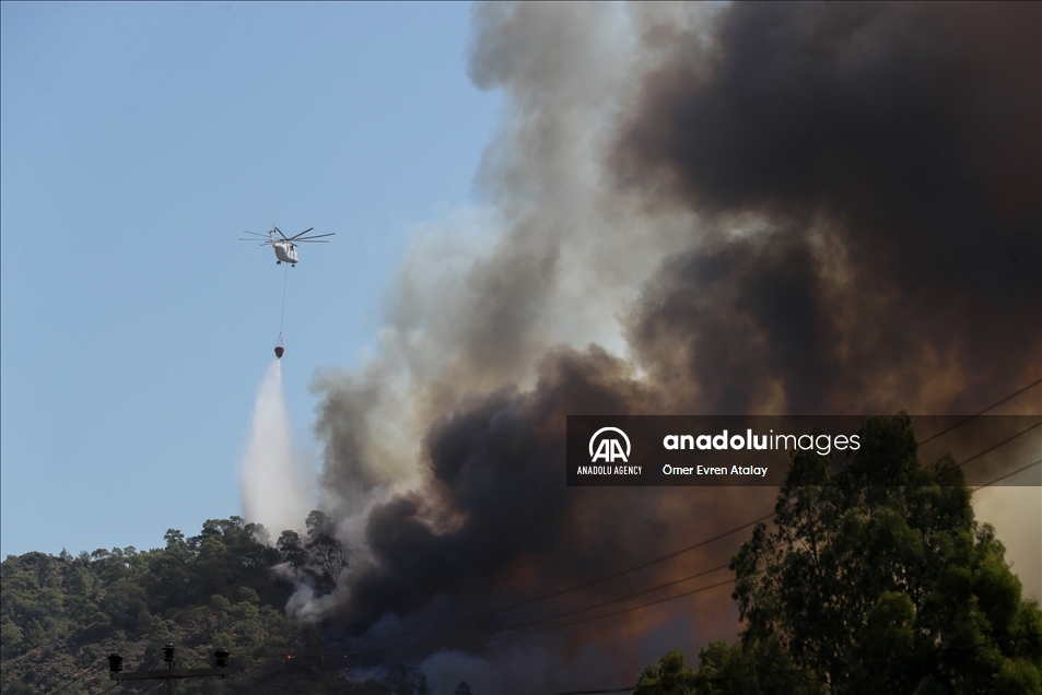 Upaya pemadaman kebakaran hutan di Mulga, Turki berlanjut