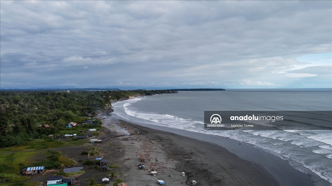 Naturaleza y avistamiento de ballenas en Buenaventura, Colombia