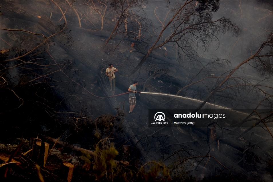 Manavgat'taki orman yangınları