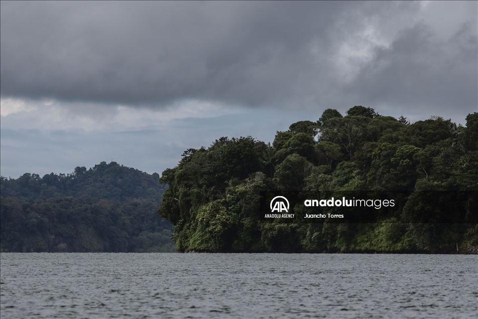Naturaleza y avistamiento de ballenas en Buenaventura, Colombia