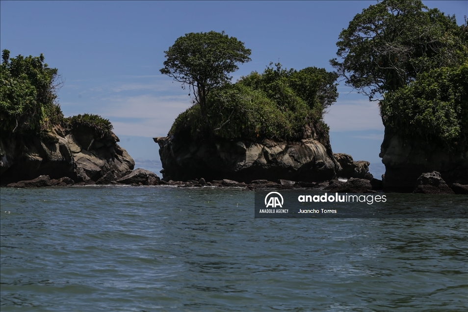 Naturaleza y avistamiento de ballenas en Buenaventura, Colombia