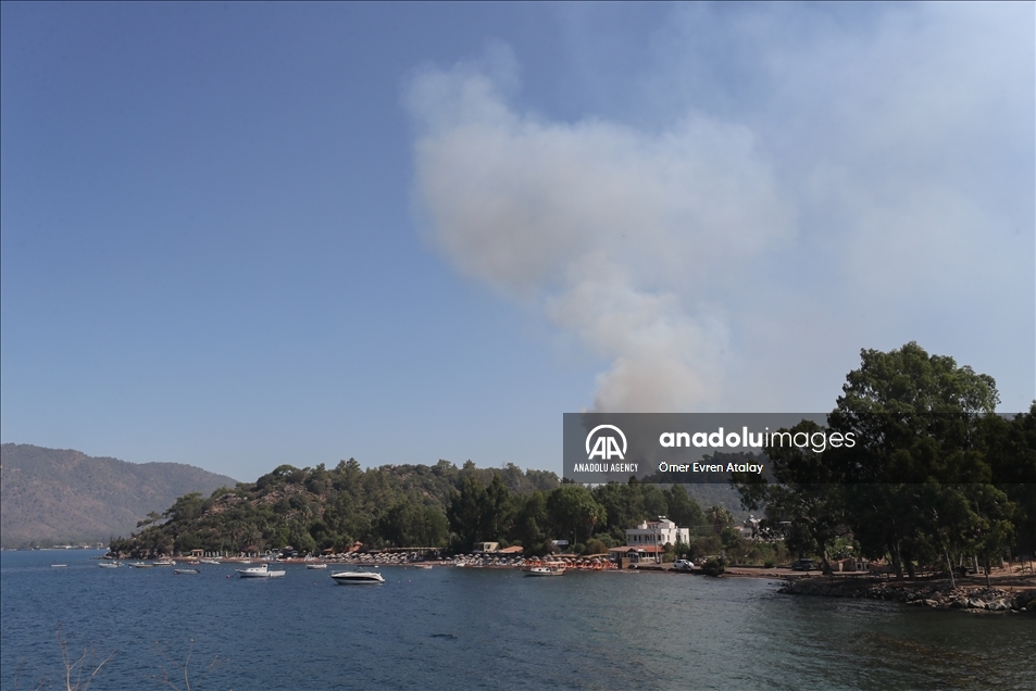 Upaya pemadaman kebakaran hutan di Mulga, Turki berlanjut