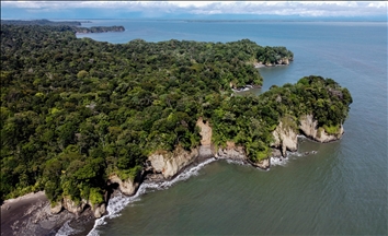 Naturaleza y avistamiento de ballenas en Buenaventura, Colombia