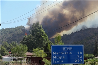 Upaya pemadaman kebakaran hutan di Mugla, Turki