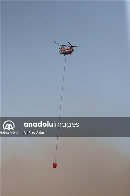 اطفای 160 مورد از 174 آتش‌سوزی جنگلی در مناطق مختلف ترکیه