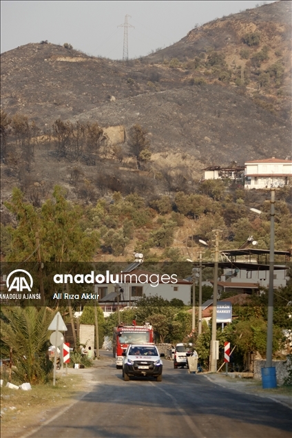 Milas ve Bodrum'daki orman yangınlarına havadan ve karadan müdahale sürüyor