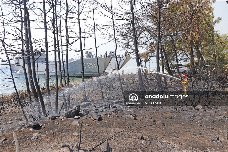Ören Sahili'ndeki yangını çıkarma gemisi personeli söndürdü