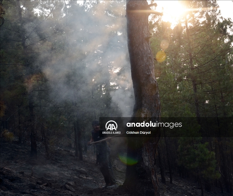 Aydın'daki orman yangınını söndürme çalışmaları devam ediyor