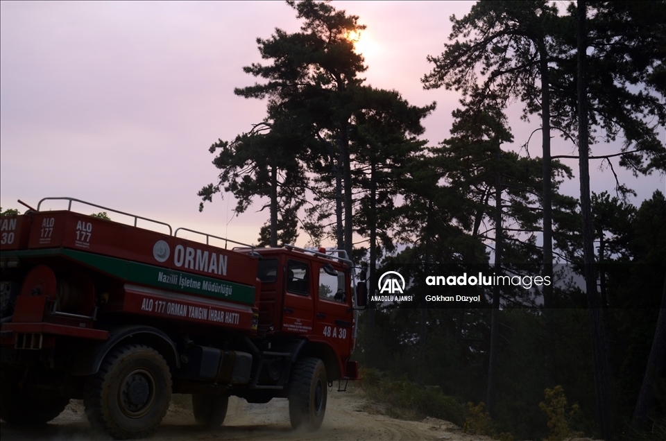 Aydın'daki orman yangınını söndürme çalışmaları devam ediyor