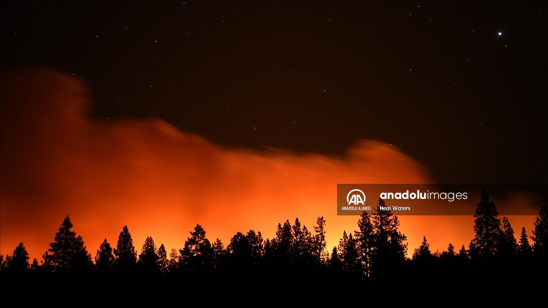 Kaliforniya'da orman yangınları devam ediyor