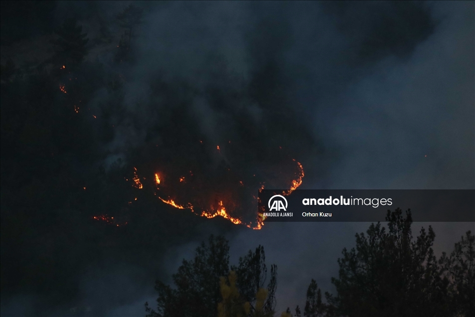 Karabük'te ormanlık alanda çıkan yangın kısmen kontrol altına alındı
