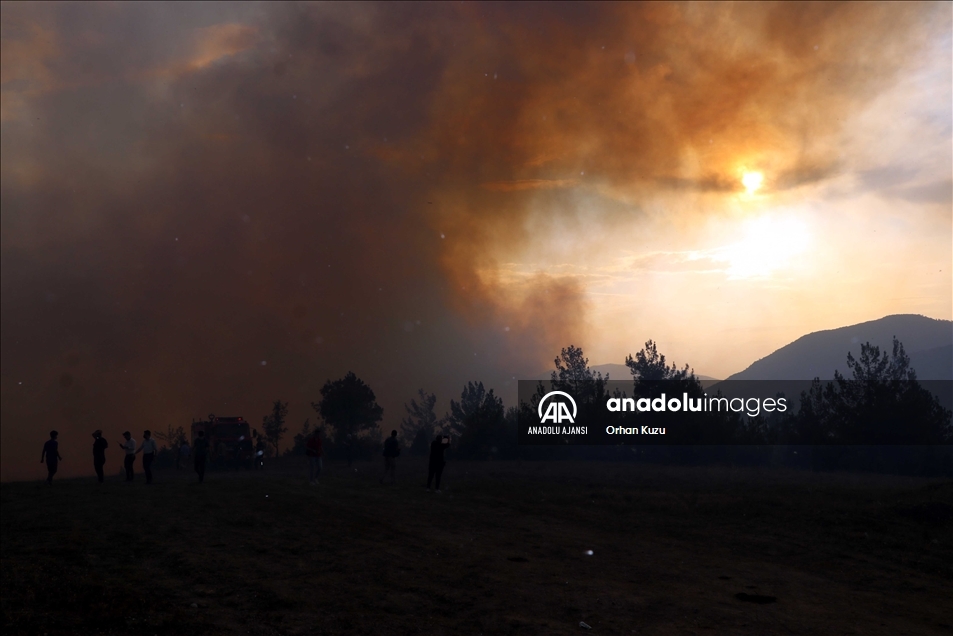 Karabük'te ormanlık alanda çıkan yangına müdahale ediliyor