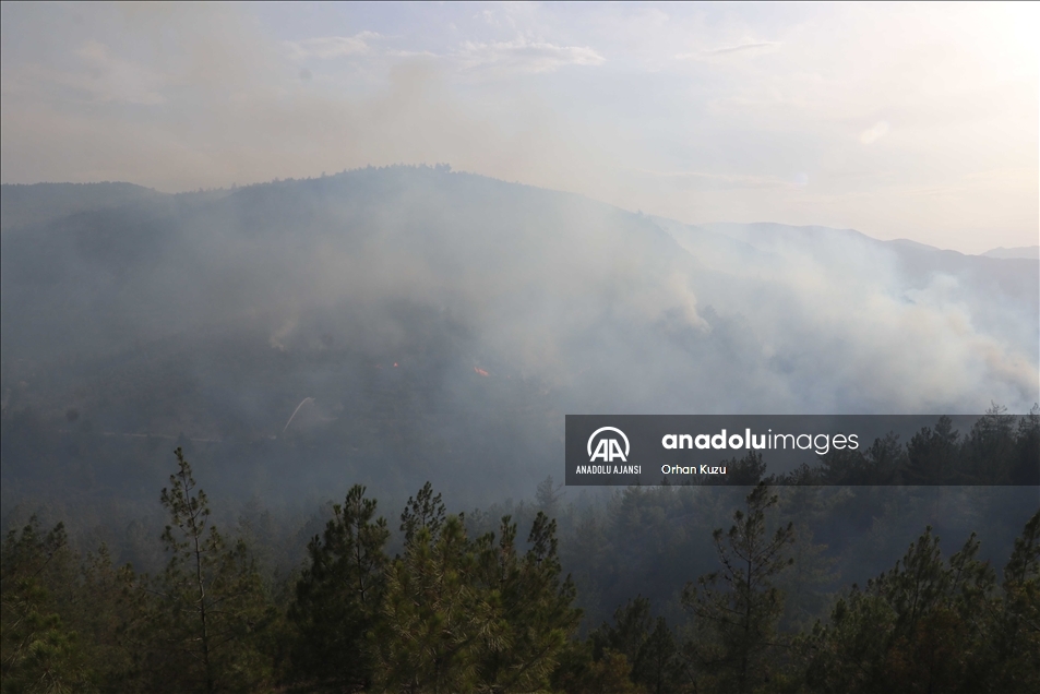 Karabük'te ormanlık alanda çıkan yangına müdahale ediliyor