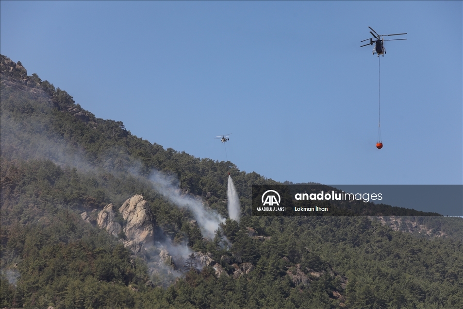 Aydın'daki orman yangınını söndürme çalışmaları sürüyor