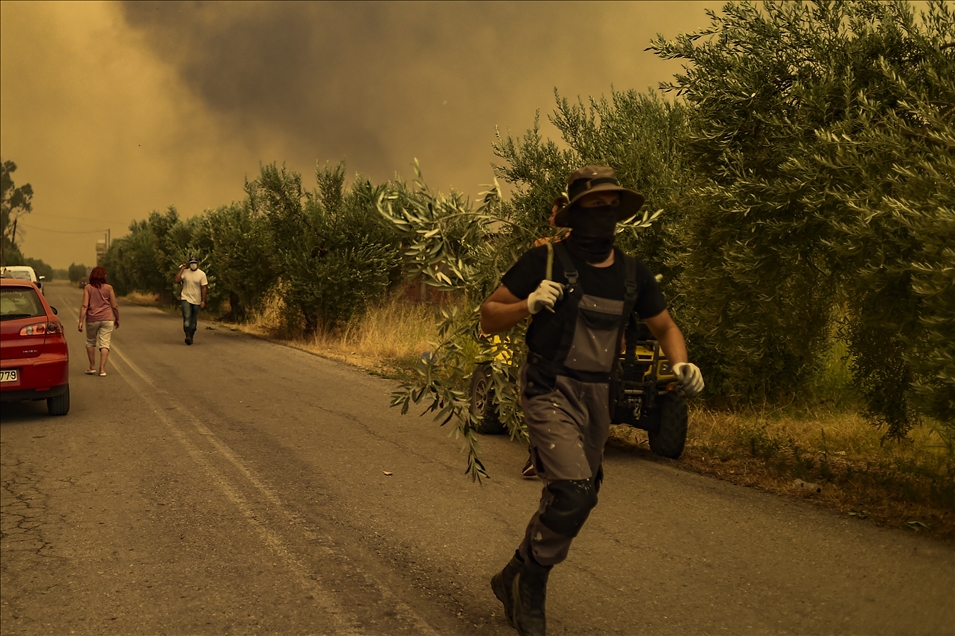 Wildfire in Greece
