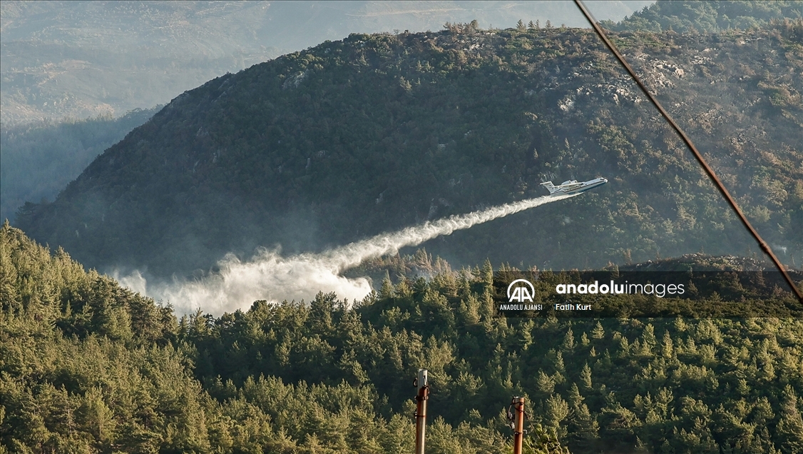 Muğla'da çıkan orman yangını kontrol altına alınmaya çalışılıyor