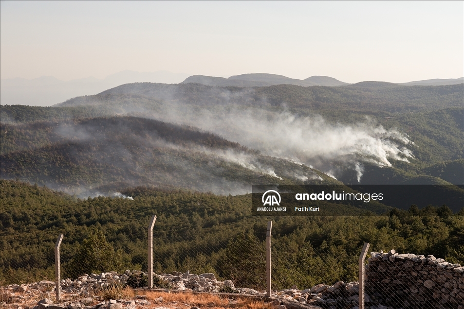 Muğla'da çıkan orman yangını kontrol altına alınmaya çalışılıyor