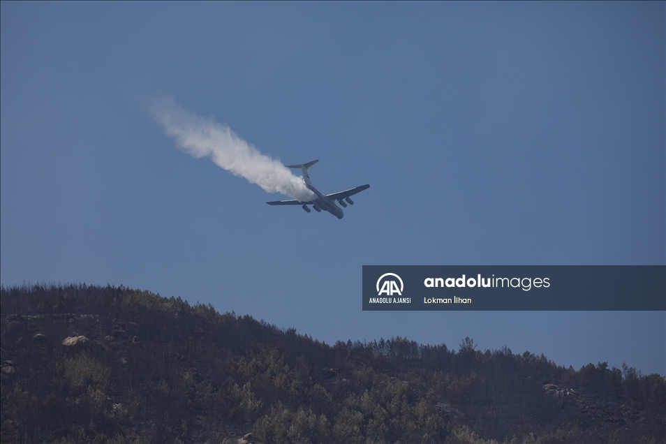 Aydın ve Muğla'daki orman yangınına uçak ve helikopterlerle müdahale ediliyor