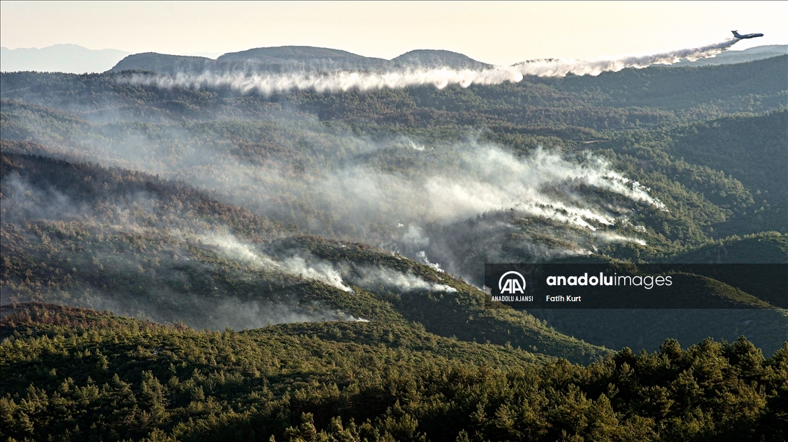 Muğla'da çıkan orman yangını kontrol altına alınmaya çalışılıyor