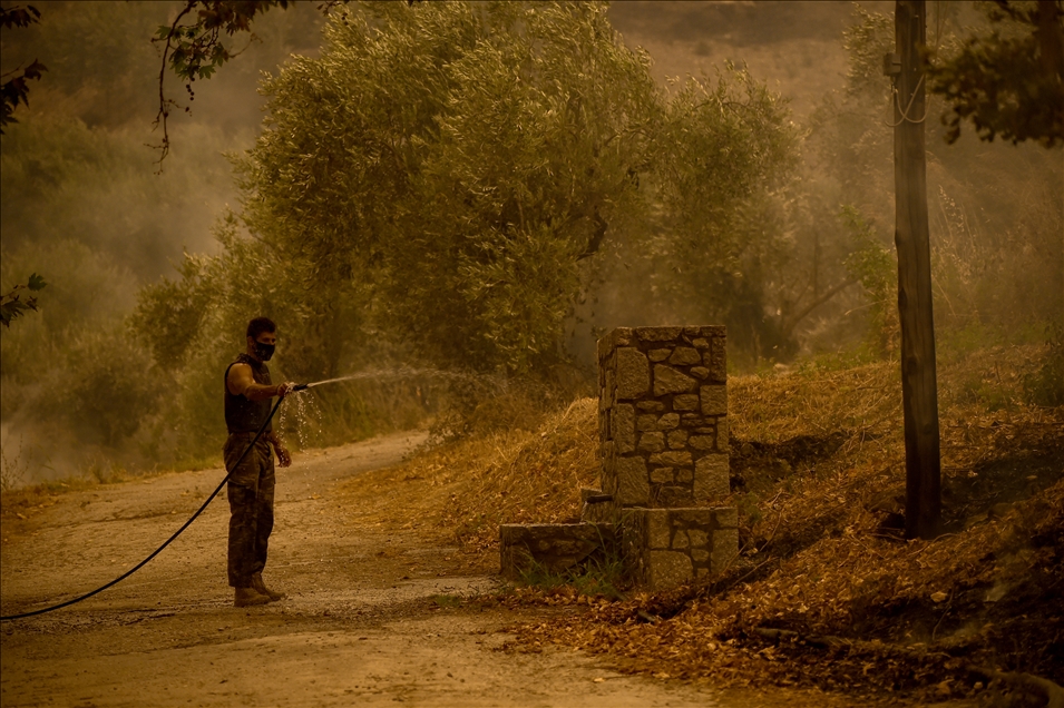 Wildfire in Evia island, Greece